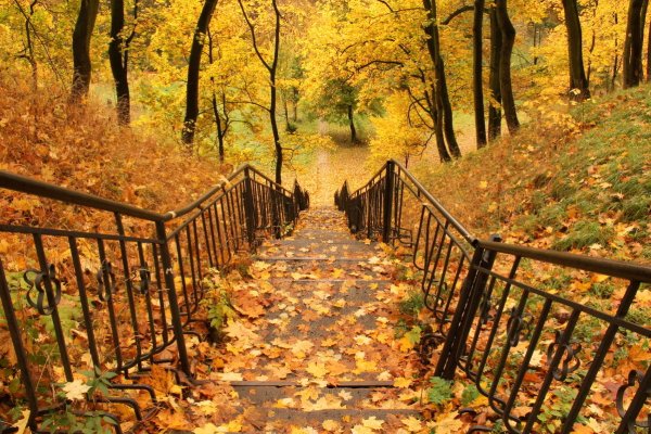 Старый осенний парк