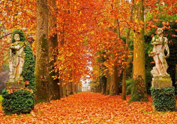 Осенний листопад