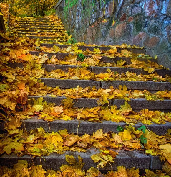 Каменные ступени осень