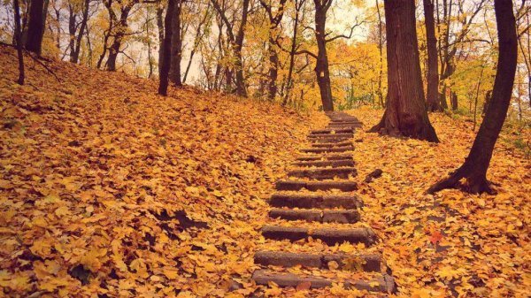 Кисловодск осень