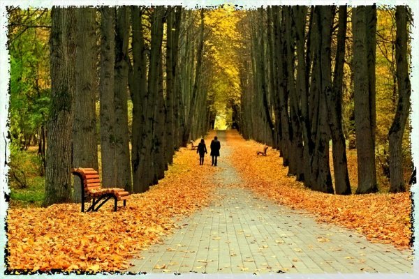 Двое в осенней аллее