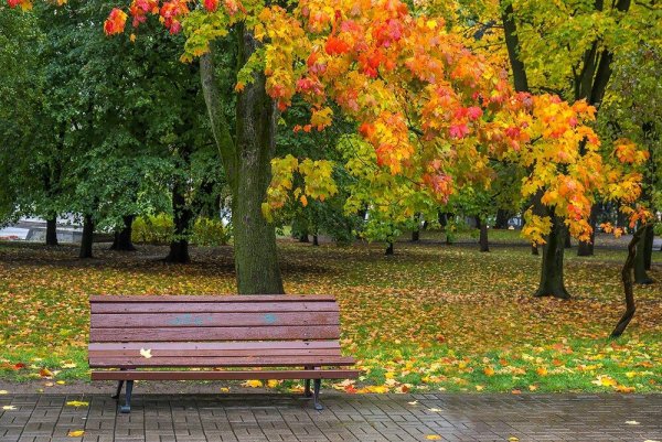 Осень в парке