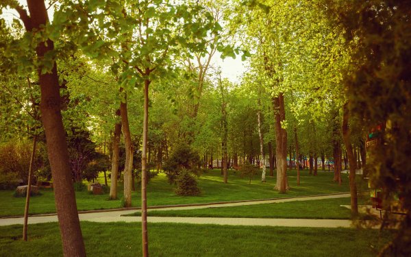 Ростов на Дону парк