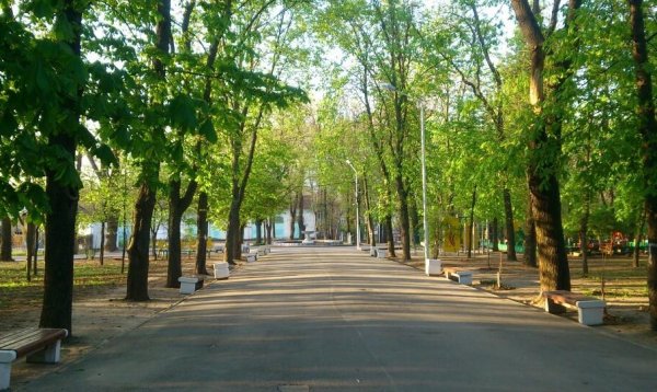 Парк октября Ростов на Дону