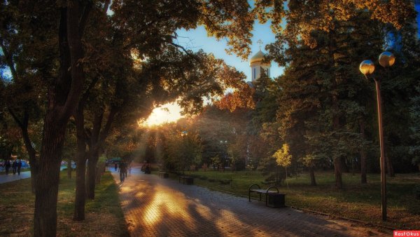 Парк осенний Ростов-на-Дону