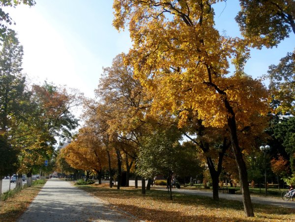 Парк осенний Ростов-на-Дону