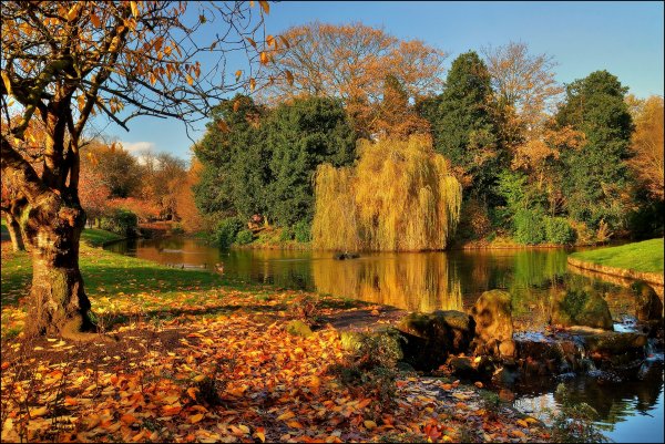 Парк осенью