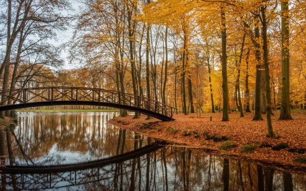 Осенний пейзаж Тарханы озеро с мостом