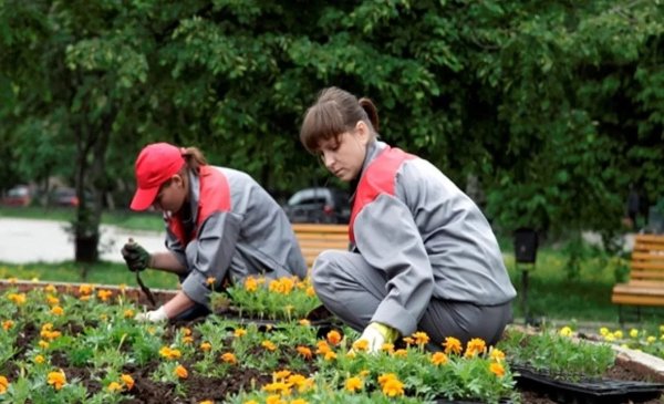 Рабочий по озеленению и благоустройству