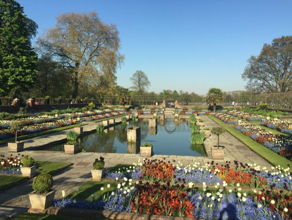 Кенсингтонские сады Hyde Park