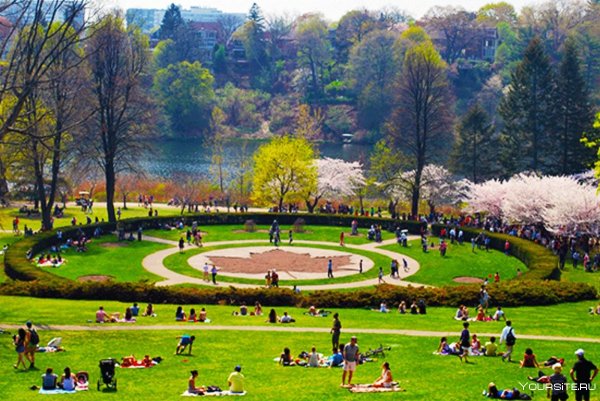 Хай парк Торонто