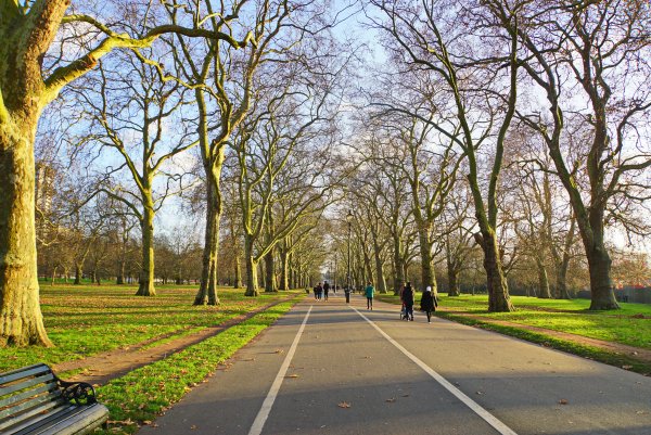 Парк Лондона гайд парк осень