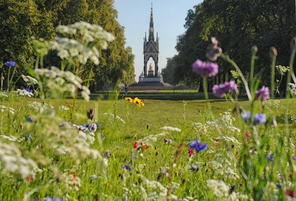 Достопримечательности Лондона гайд парк