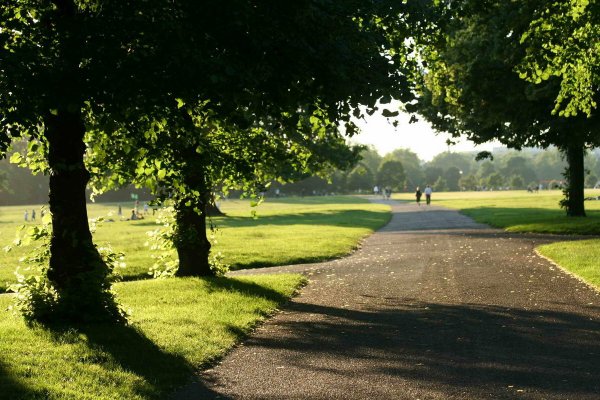 Гайд парк Великобритания
