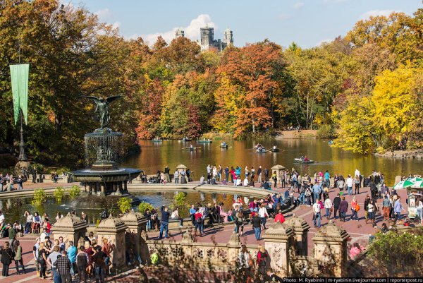 Центральный парк Лондона
