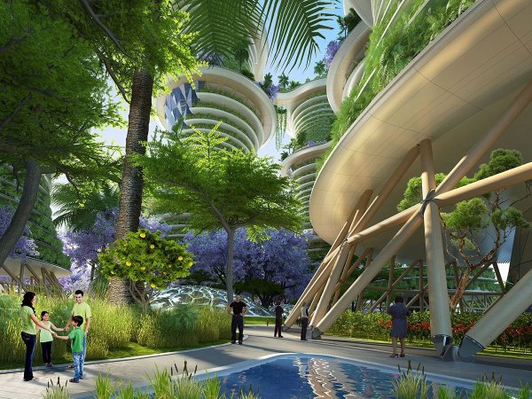 Винсент Каллебот бельгийский Архитектор