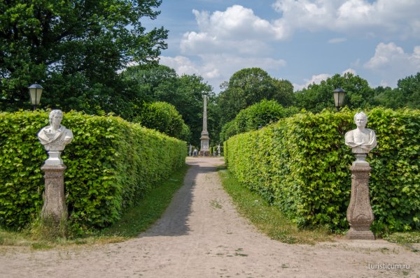 Усадьба Кусково аллея