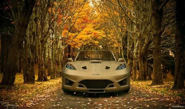 Машина на осенней дороге