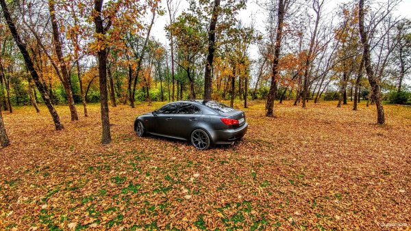 БМВ х6 осень