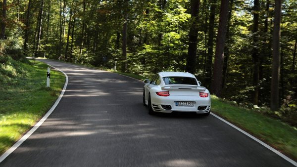 Порше 911 в лесу