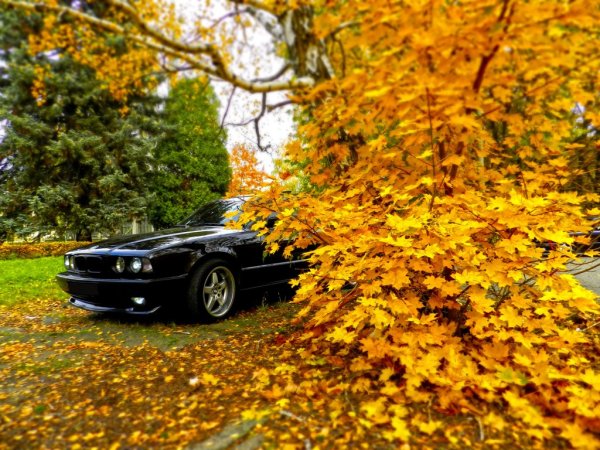 Листва машина