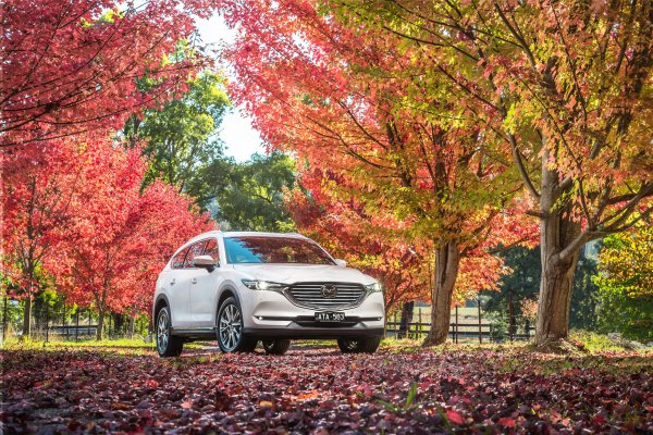 Машина природа осень