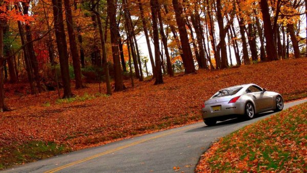 Машина на осенней дороге