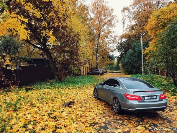 Мерседес осень