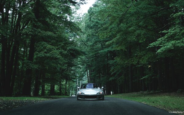 Автомобиль на фоне леса