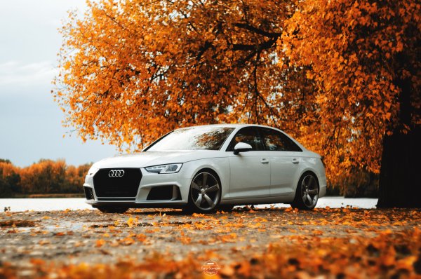 Осень Audi а8