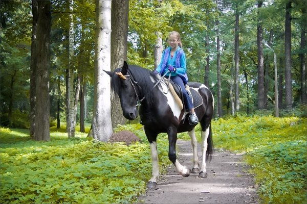 Конный клуб Шуваловский парк
