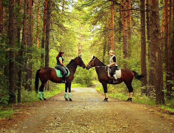 Марий Чодра конные прогулки