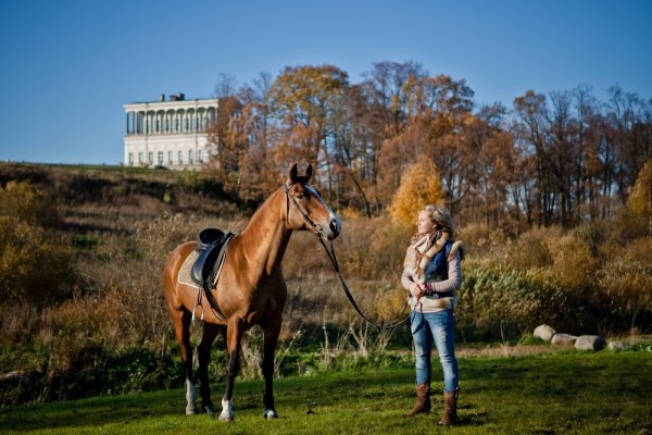 Парк Царицыно конюшня