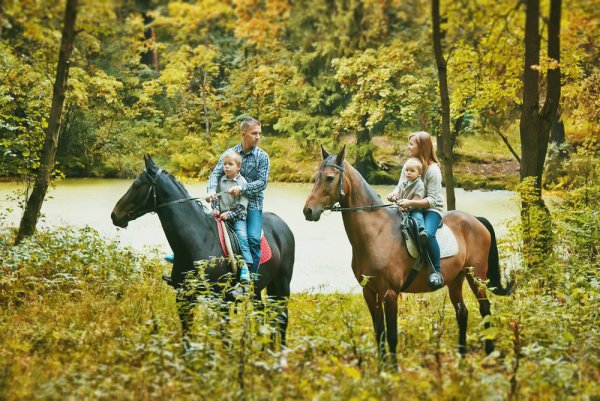 Прогулка на лошадях