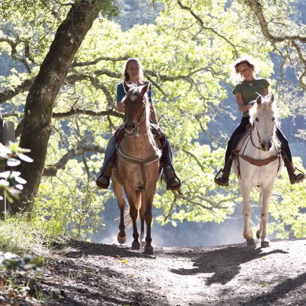 Конная прогулка