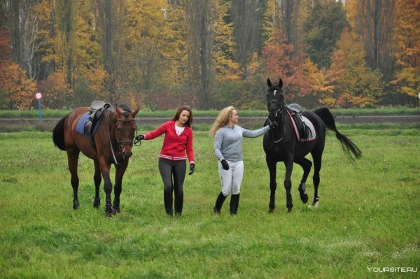 Суоранда конюшня