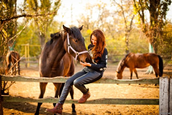 Прогулка на лошадях фотосессия