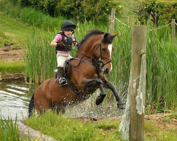 Лошадь для детей