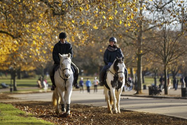Hyde Park школа верховой езды