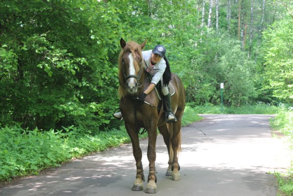 КСК Лосиный остров