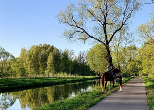 Конный клуб Булава Петергоф