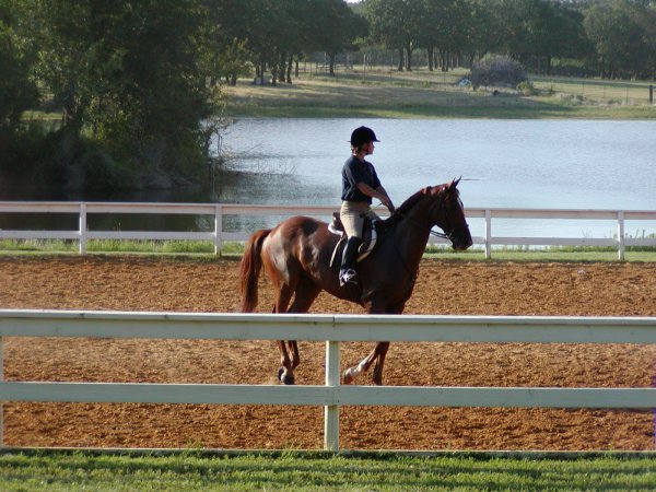 КСК Неверленд