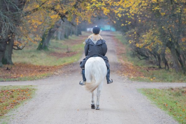 Человек на лошади боком
