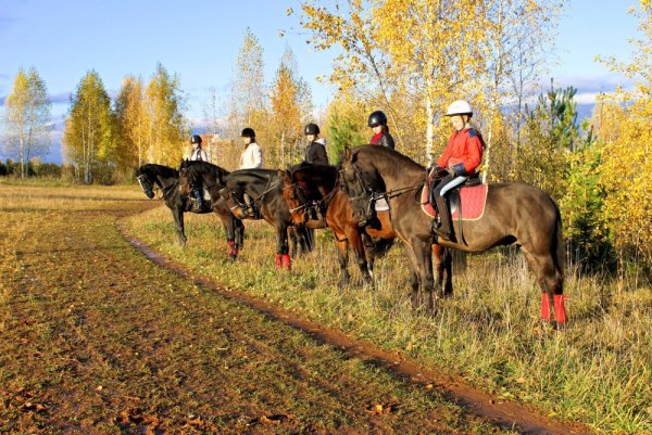 КСК конный парк Вятка