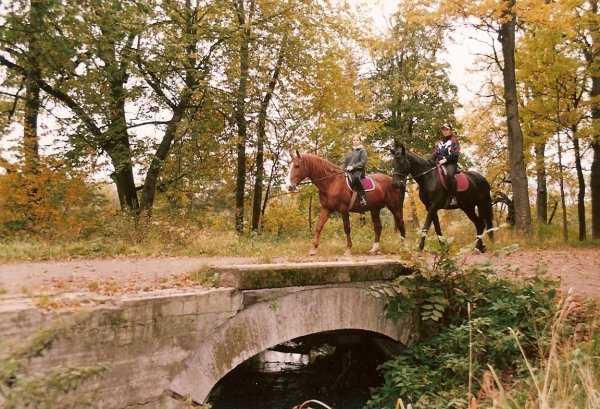 КСК Александрова дача Павловск