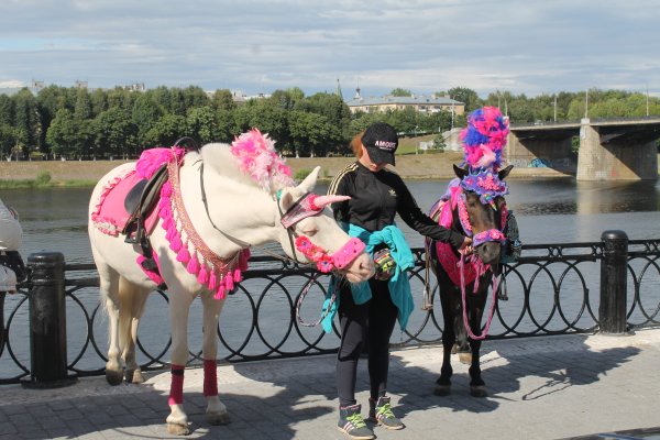 Катание на пони