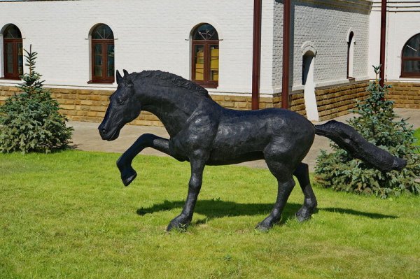 Зелёный парк лошади