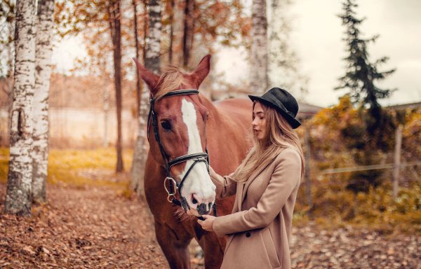 Фотосессия с лошадью осенью