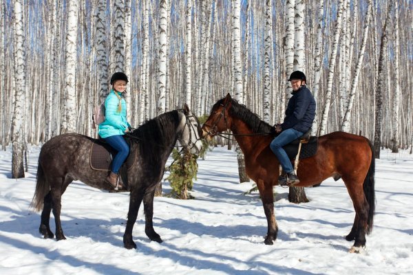 Конные прогулки Патрушево Тюмень
