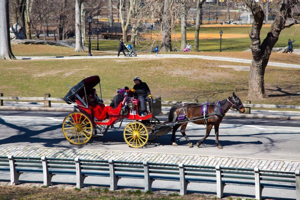 Конная Бричка